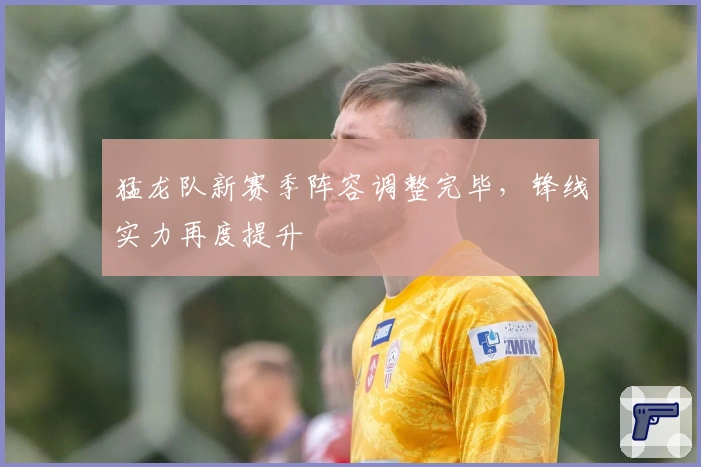 猛龙队新赛季阵容调整完毕，锋线实力再度提升